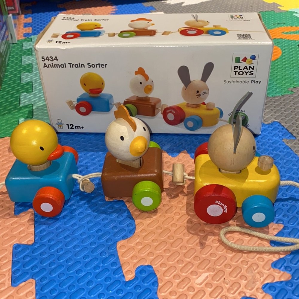 Plan Toys Animal Train Sorter